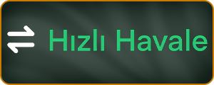 Hızlı Havale