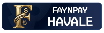 FaynPay Havale